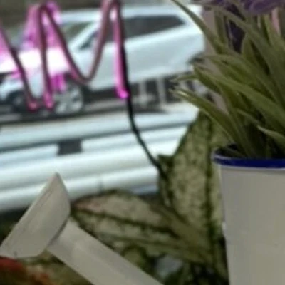 Леденец в Воронеже Россия, Воронеж, Ленинский проспект, 113