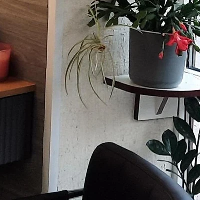 Красотка в Выборге Ленинградская область, Выборг, Московский проспект, 6, 1 этаж