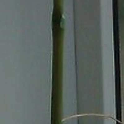 Ирис в Арзамасе Нижегородская область, Арзамас, Мира, 10, 1 этаж