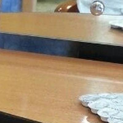 Хамелеон в Большой камени Приморский край, Большой Камень, аллея Труда, 10