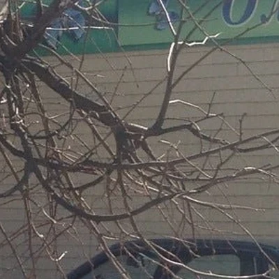 Ольга в Ковровом Владимирская область, Ковров, улица Грибоедова, 62, 1 этаж