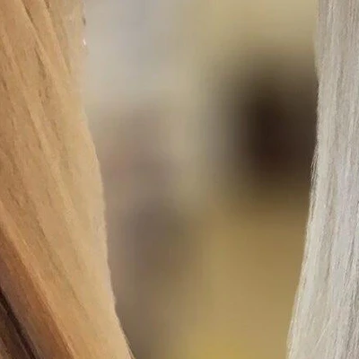 Преображение в Брянске Брянская область, Брянск, Медведева, 5, 1 этаж