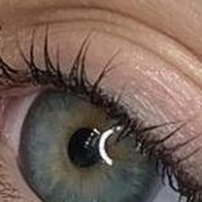 Императрица в Котельниках Московская область, Котельники, Кузьминская, 15