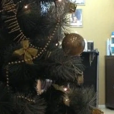 Модная цирюльня в Брянске Брянская область, Брянск, Чапаева, 6, 1 этаж