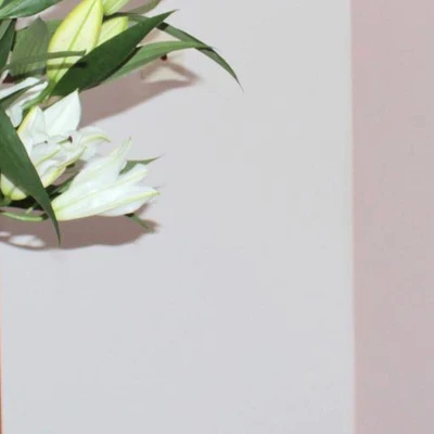 Гармония в Долгопрудном Московская область, Долгопрудный, Первомайская улица, 3а, 3 этаж