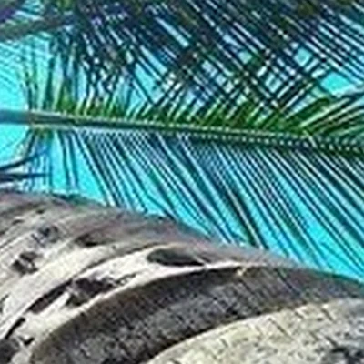 Кокос в Копейске Челябинская область, Копейск, проспект Победы, 3Б, 1 подъезд, 1 этаж