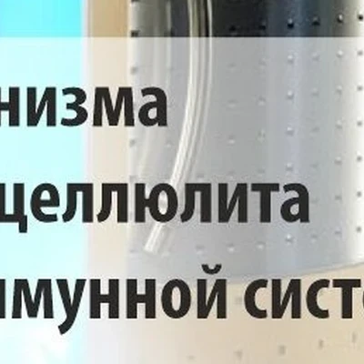 Эффект в Березниках Пермский край, Березники, улица Мира, 107, 1 этаж
