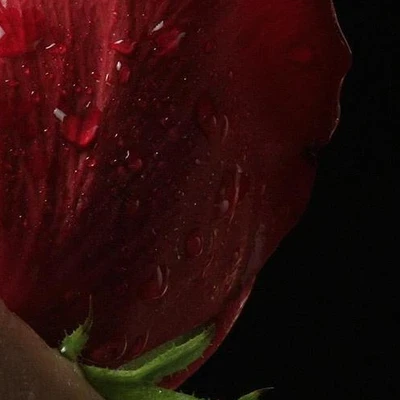 Кабинет маникюра и подологии в Красноярске Красноярский край, Красноярск, улица Мате Залки, 37, студия красоты Ирины К