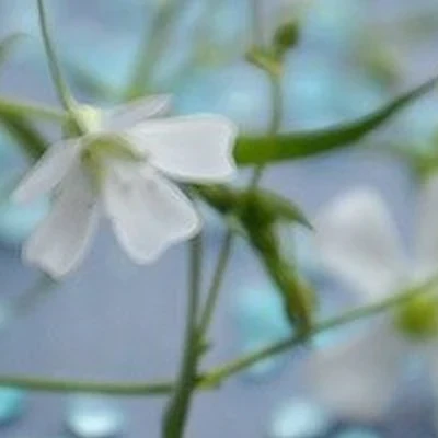 Альянс в Новокузнецке Россия, Кемеровская область, Новокузнецк, улица Климасенко, 5к5