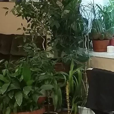 Красивые люди в Выборге Ленинградская область, Выборг, улица Мира, 16, цокольный этаж