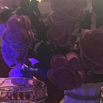 Iceberg в Махачкале Республика Дагестан, Махачкала, Батырая улица, 66, цокольный этаж