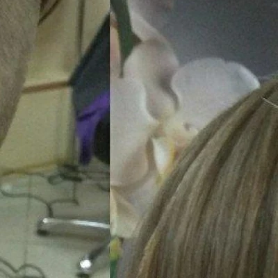 Золотая Стрекоза в Саранске Республика Мордовия, Саранск, Титова, 25, 1 этаж