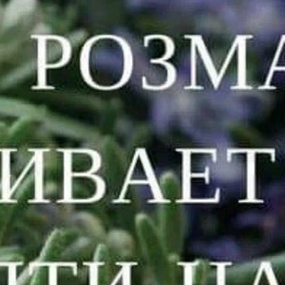 Celebrity в Магнитогорске Челябинская область, Магнитогорск, проспект Ленина, 121, 1 этаж
