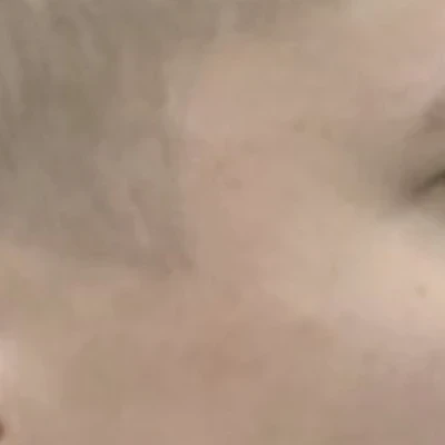 Магнолия в Новороссийске Краснодарский край, Новороссийск, Хворостянского, 13, 1 этаж