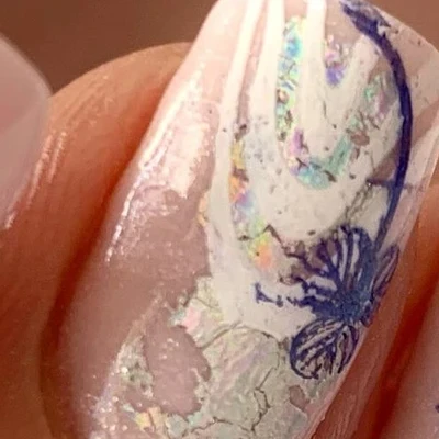 Selena в Старый осколе Белгородская область, Старый Оскол, Степной микрорайон, 17, 2 этаж