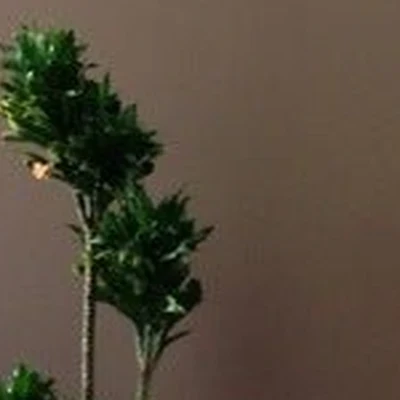 Глянец в Якутске Республика Саха (Якутия), Якутск, улица Дзержинского, 18/2, 306 павильон; 3 этаж