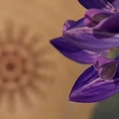 Эталон в Ярославле Ярославская область, Ярославль, Большая Октябрьская, 30а, 2 этаж; фитнес-клуб Стиль жизни.