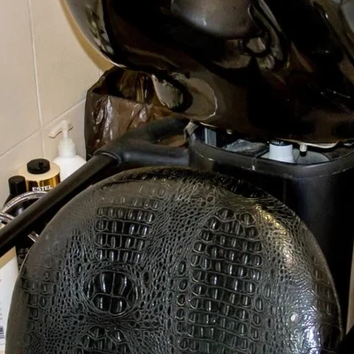 Лотос в Волгограде Волгоградская область, Волгоград, Шекснинская, 30