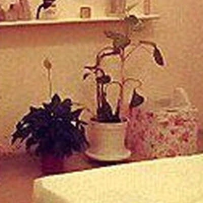 Cabinet в Всеволожске Россия, Ленинградская область, Всеволожск, микрорайон Южный, улица Доктора Сотникова, 13, цокольный этаж