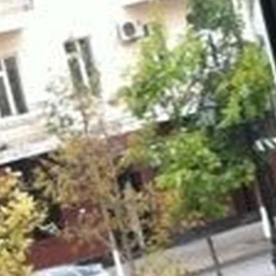 Золотые ножницы в Грозном Чеченская Республика, Грозный, проспект Владимира Владимировича Путина, 17, 2 этаж