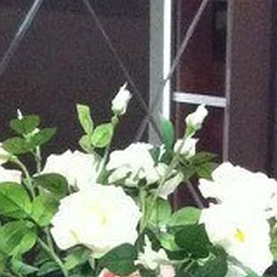 Счастье в Казани Республика Татарстан, Казань, улица Краснококшайская, 84, 2 этаж