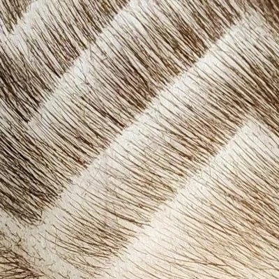 Хамелеон в Нижний тагиле Свердловская область, Нижний Тагил, улица Космонавтов, 14