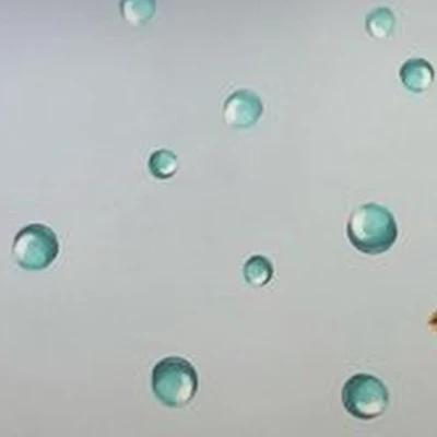 Солнышко Поморья