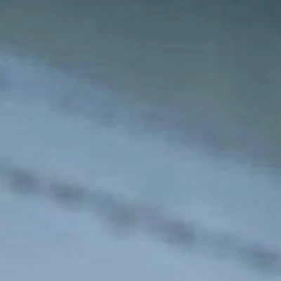 Аленка в Красногорске Лесная улица, 12