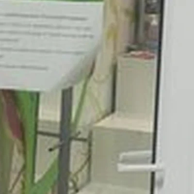 Ежик в Коломне Зелёная улица, 31а