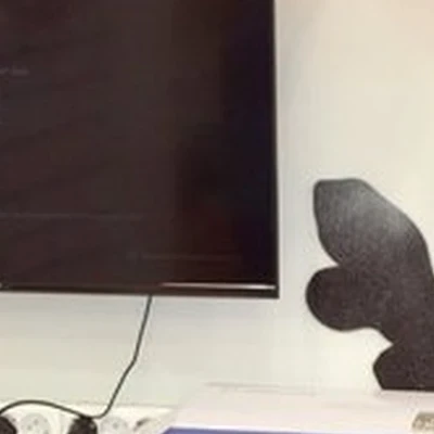 Красафчики в Москве Миклухо-Маклая улица, 37