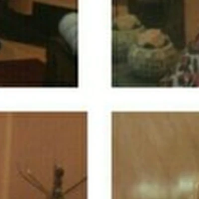 Причесончик в Пушкине улица Чехова, 20а