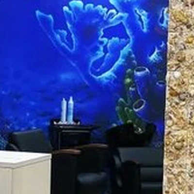 Осьминожки