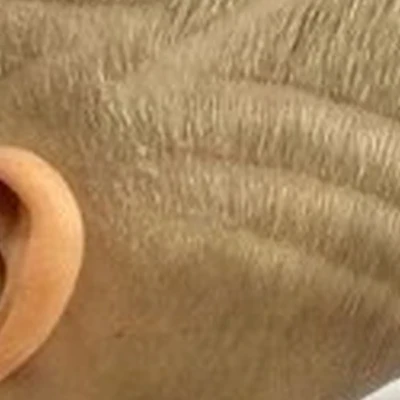 Evakids в Таганроге улица Сергея Шило, 186