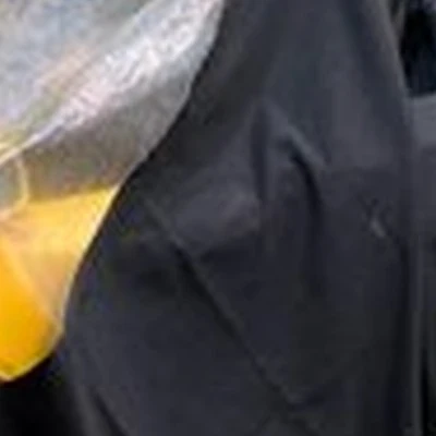 Кеша хороший в Томске улица Беринга, 10