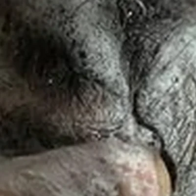 По-Братски в Уфе Ульяновых, 46