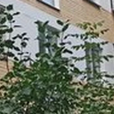 КузьмА в Челябинске улица Кирова, 3