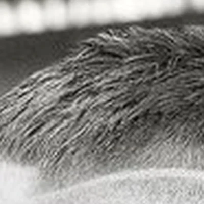 Север в Альметьевске Нефтяников, 35а