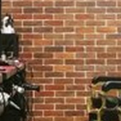 Борода Чехова