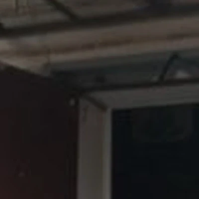 Подстригальня