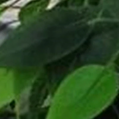 Друзья в Перми Солдатова, 28