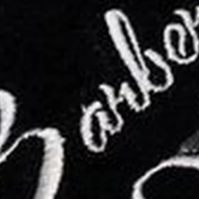 Роджер в Иркутске Красного Восстания, 5