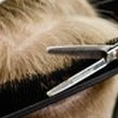 ZEUS в Казани улица Юлиуса Фучика, 145а