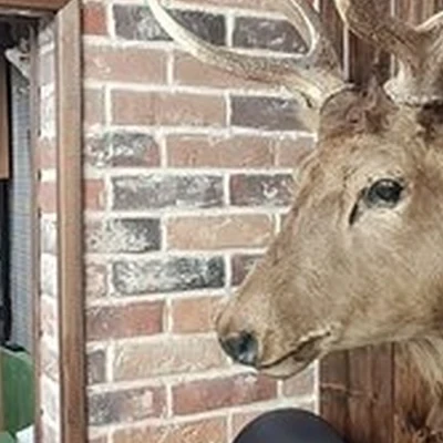 Barber 600 в Москве улица Скульптора Мухиной, 5