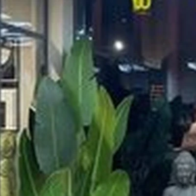 Britva в Москве Щукинская улица, 3