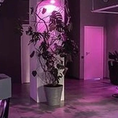 ROOTS men`s cut