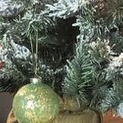 Sam в Одинцове Баковская улица, 2а