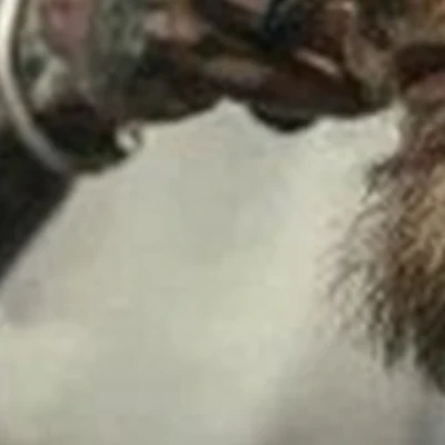 Бокс&Полубокс