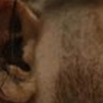 Wild в Джанкое улица Свердлова, 32а