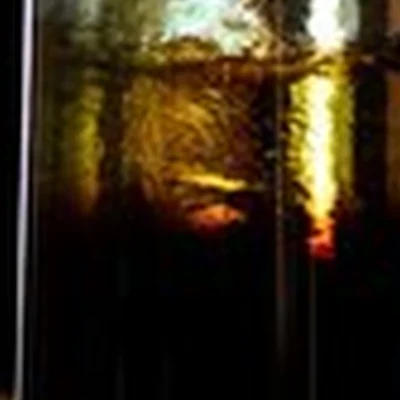 TopStyle в Липецке Бехтеева, 4