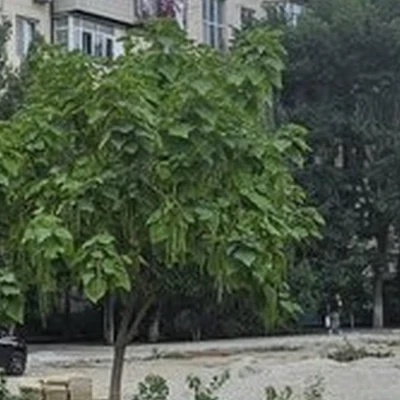 ZN в Каспийске улица Ленина, 17